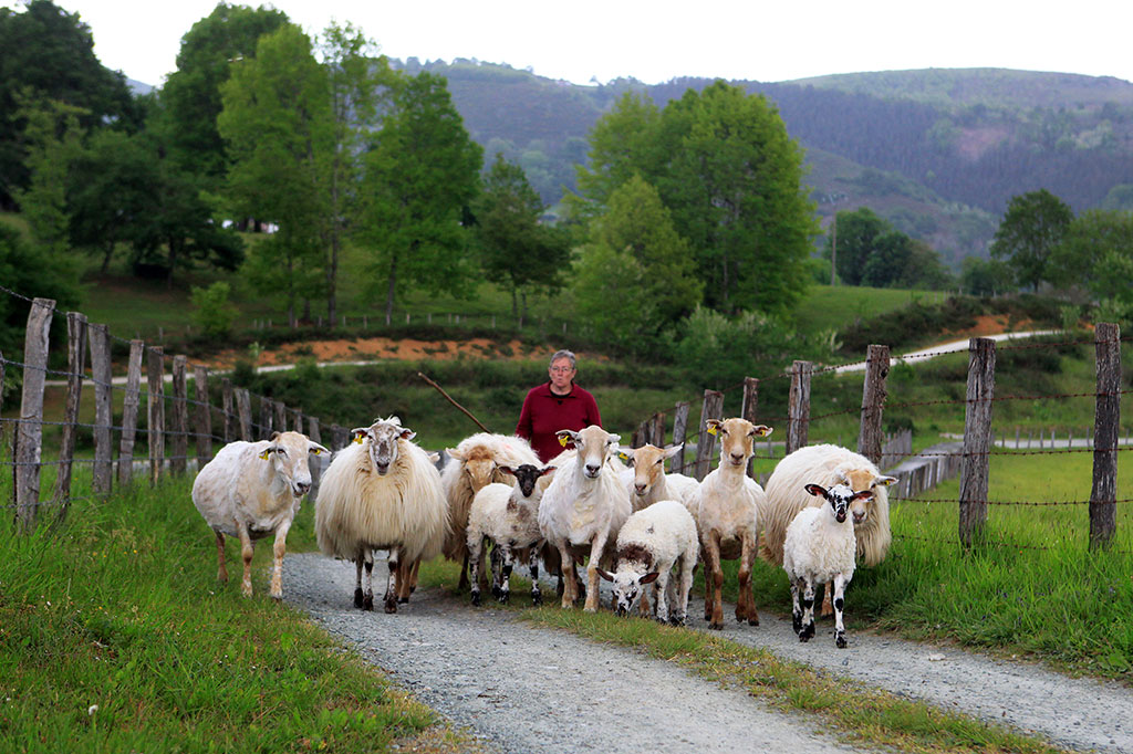 Valle de Baztan