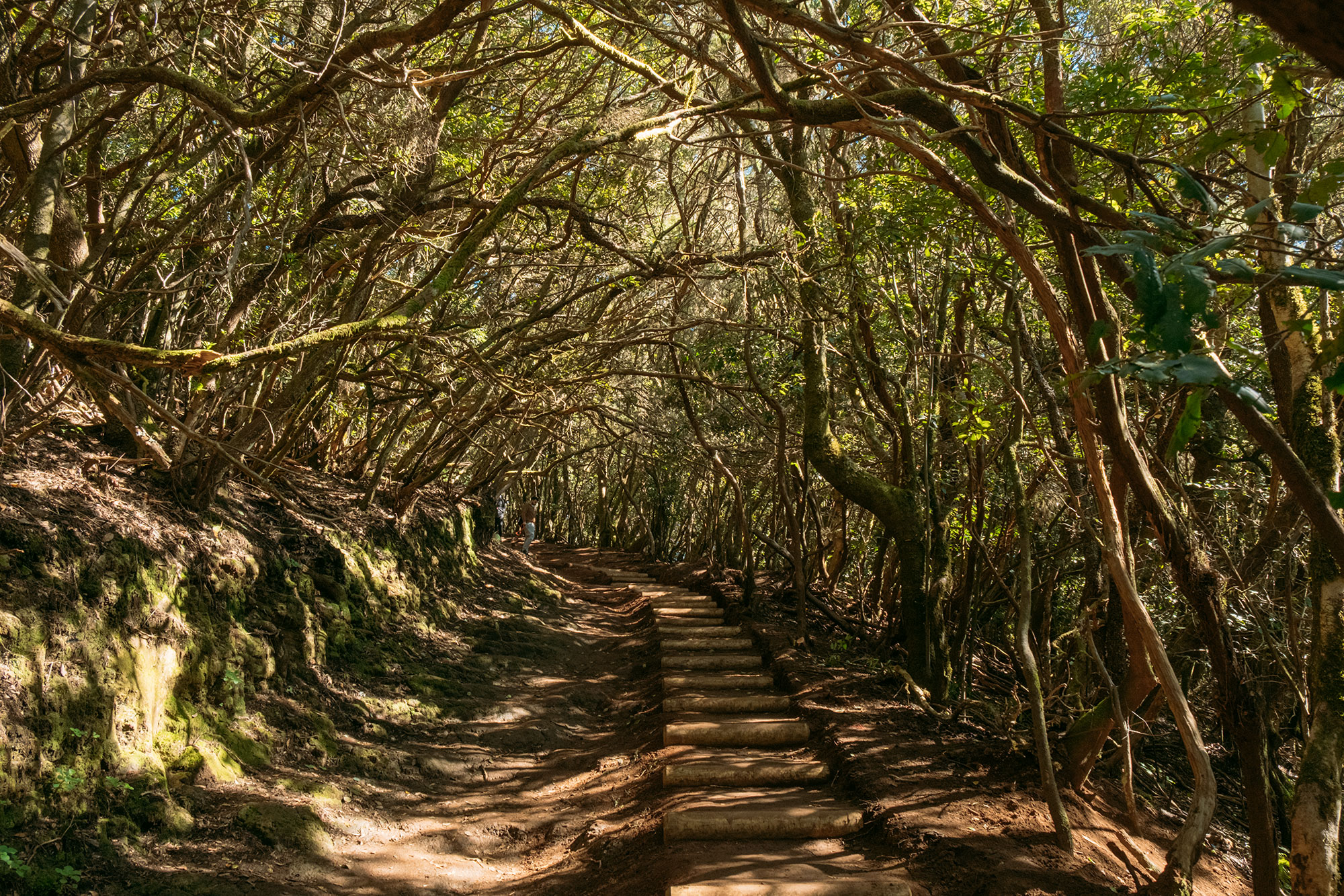 Sendero de los sentidos