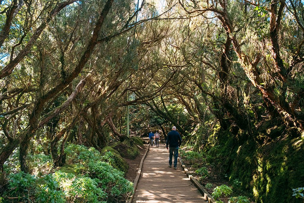 Sendero de los sentidos