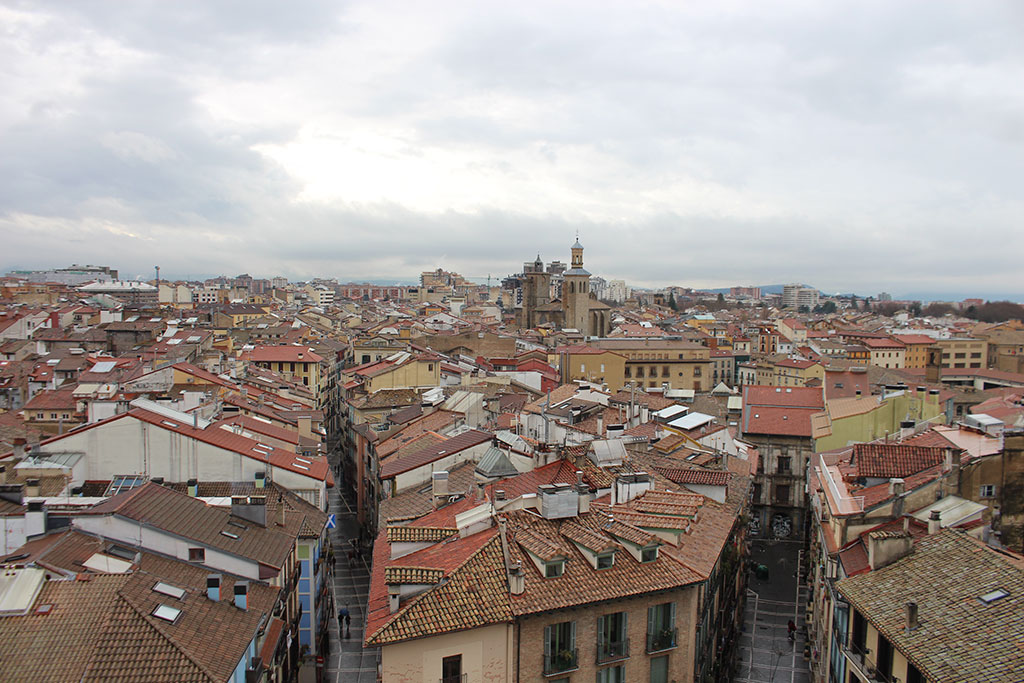 Pamplona desde torre norte de la Catedral