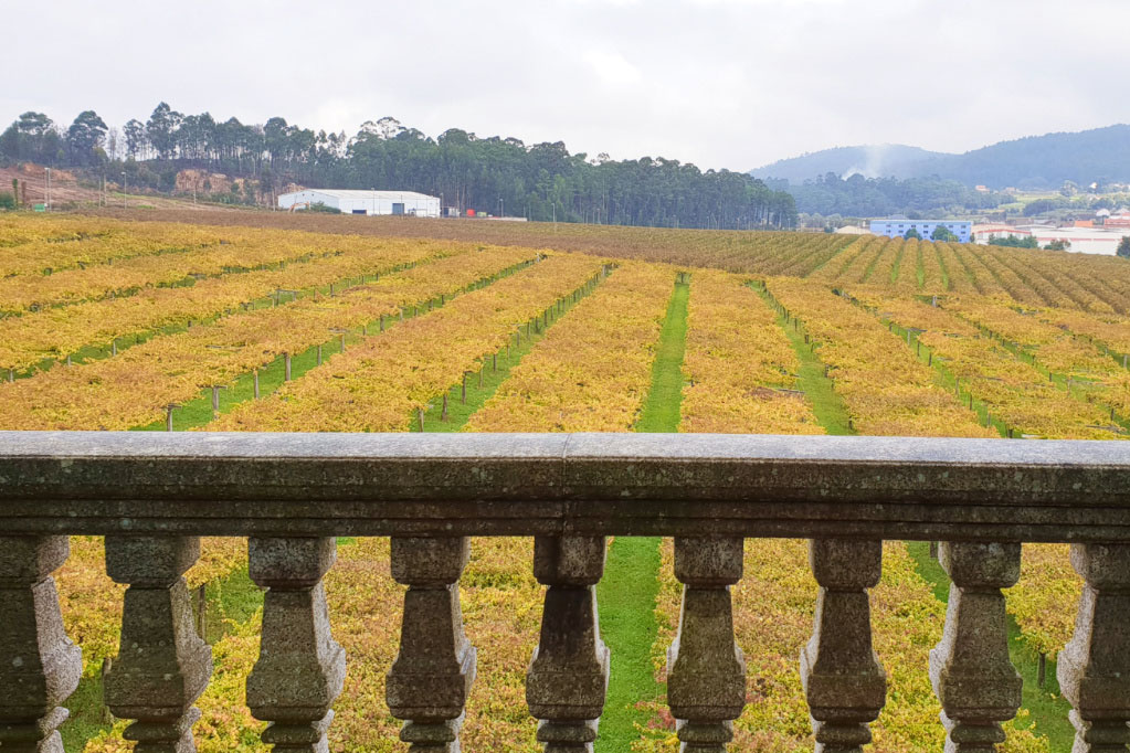 Viñedos Rias Baixas