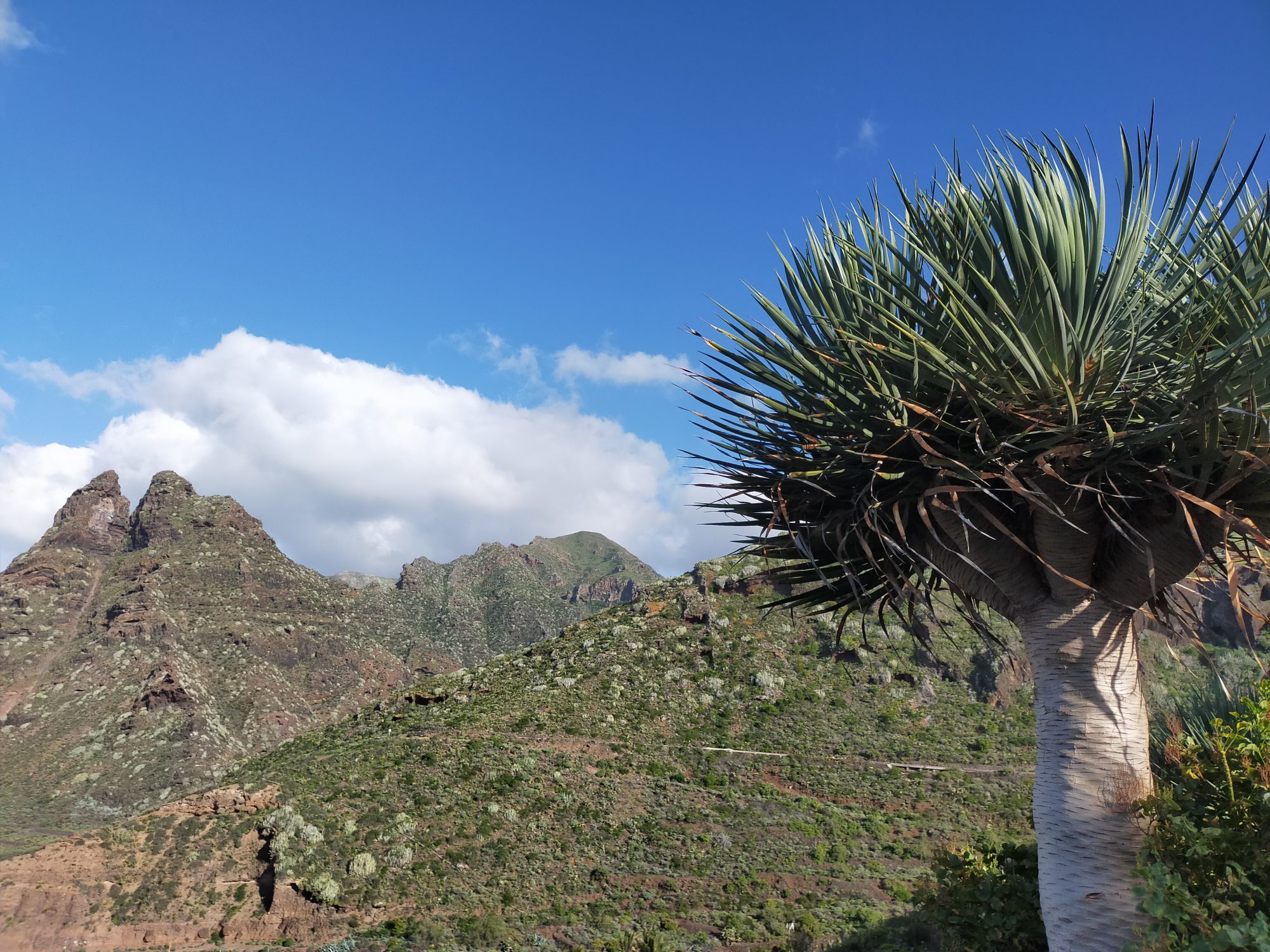 Macizo de Anaga desde La Punta