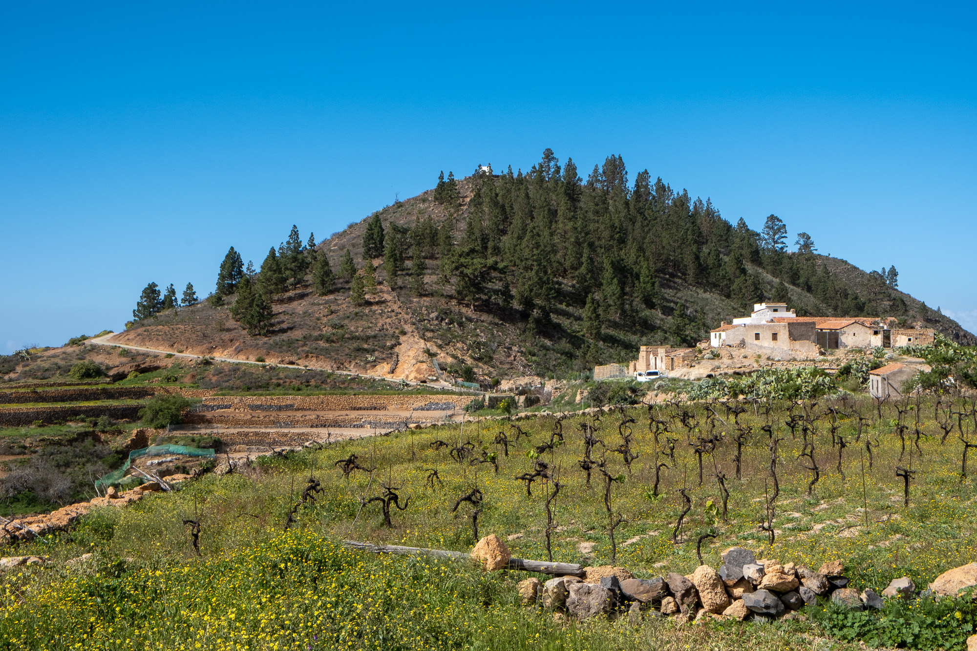 Caserío Las Fuentes Guía de Isora