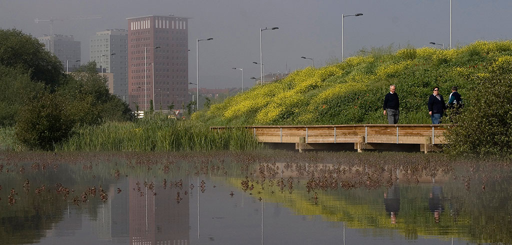 Parque Salburua Vitoria Trilogía d ela ciudad blanca