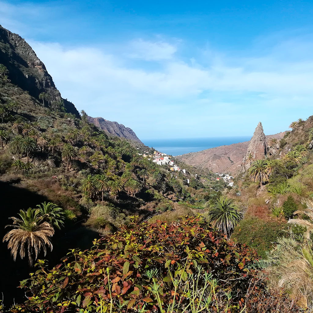 Experiencias en La Gomera