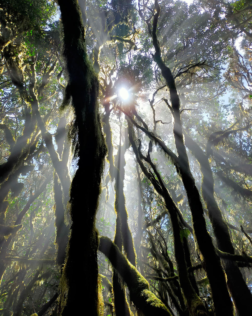 Experiencias en La Gomera