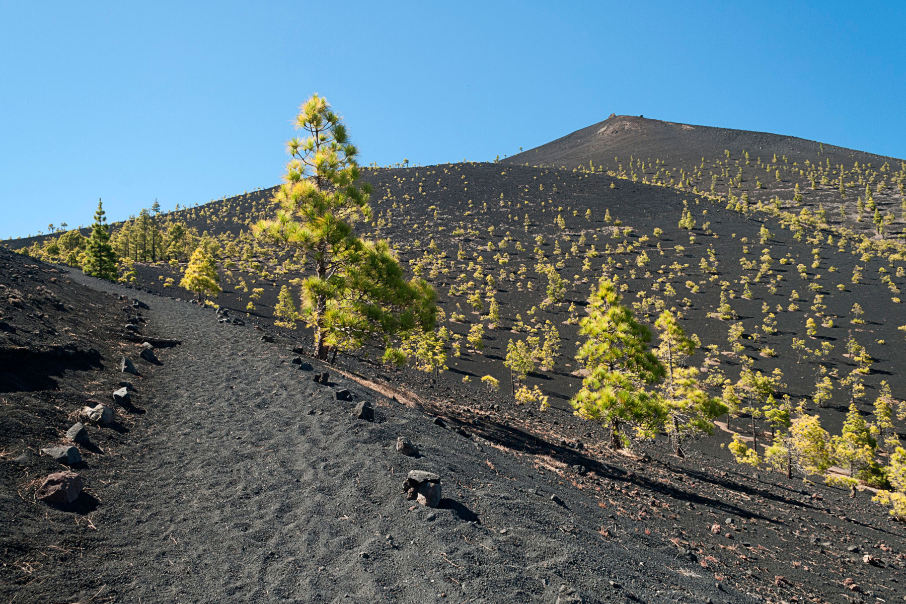 Ruta de los Volcanes en La Palma