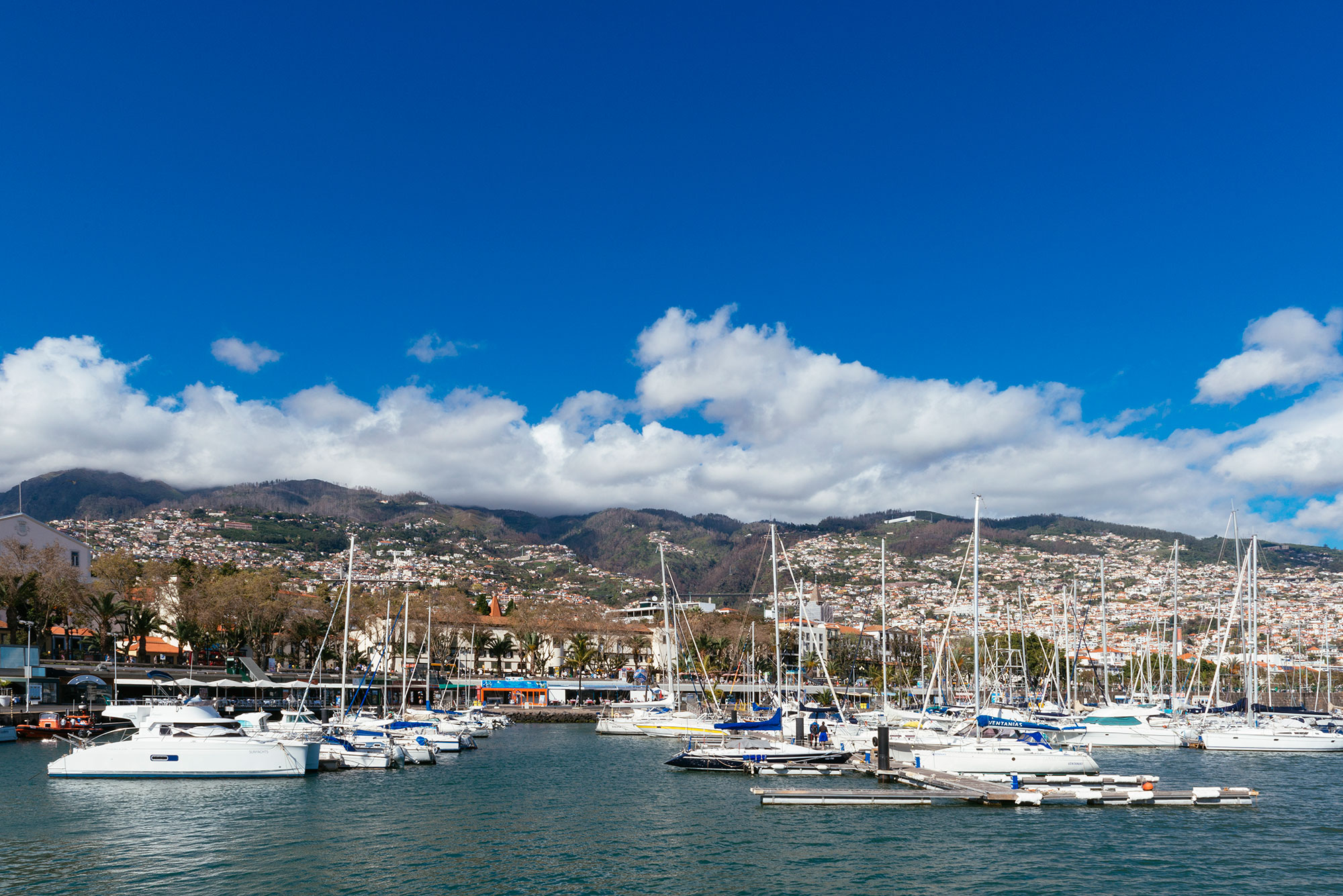 Vista de Funchal desde el mar