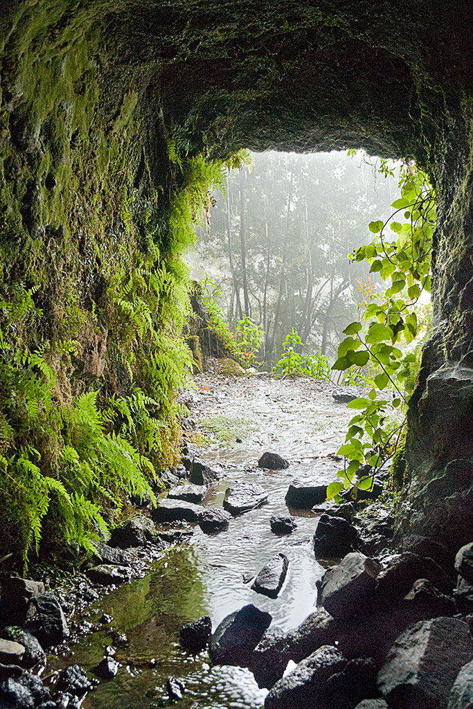 Visita La Palma