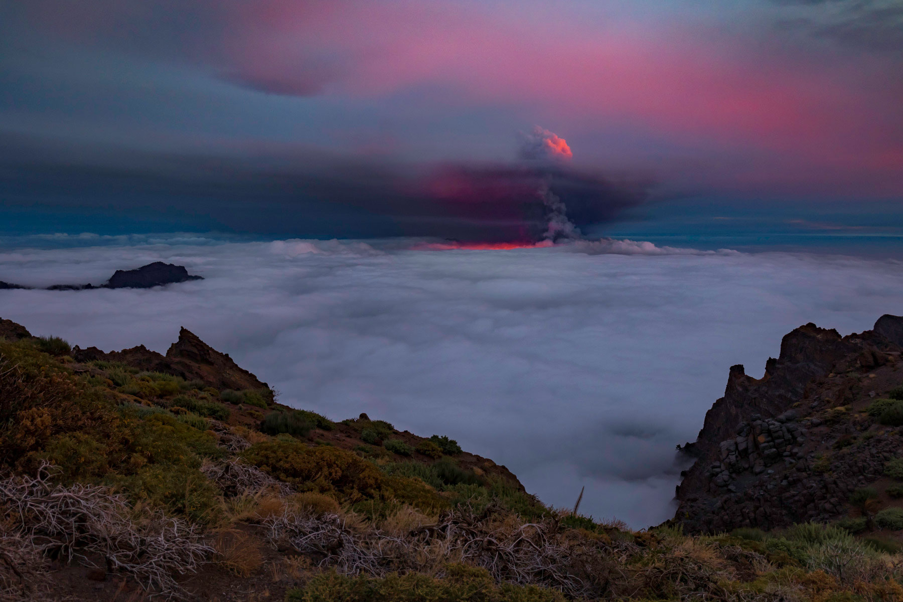 Visita volcán de la Palma