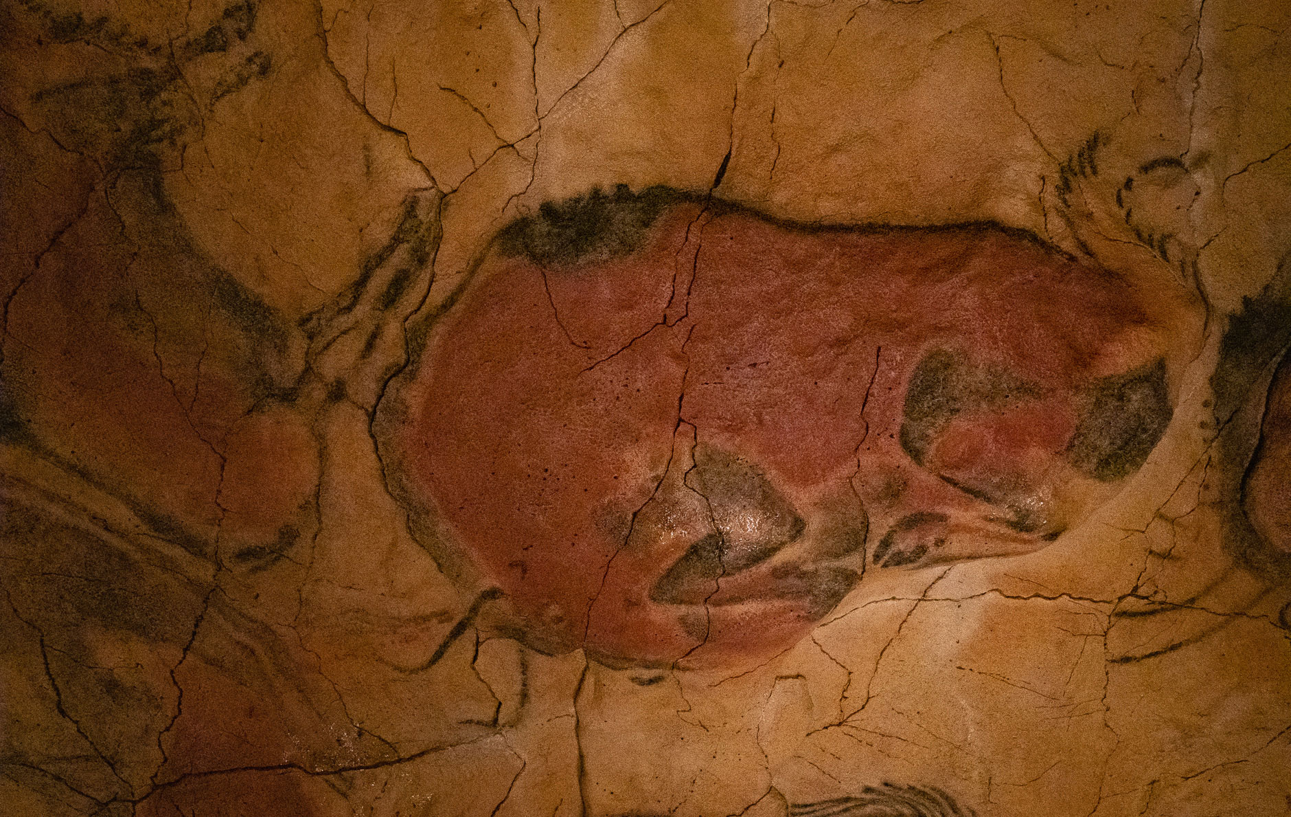 Cuevas de Cantabria, Altamira