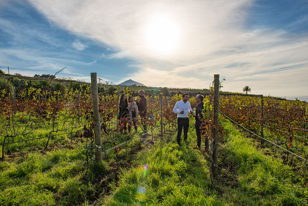 Canary Wine Route