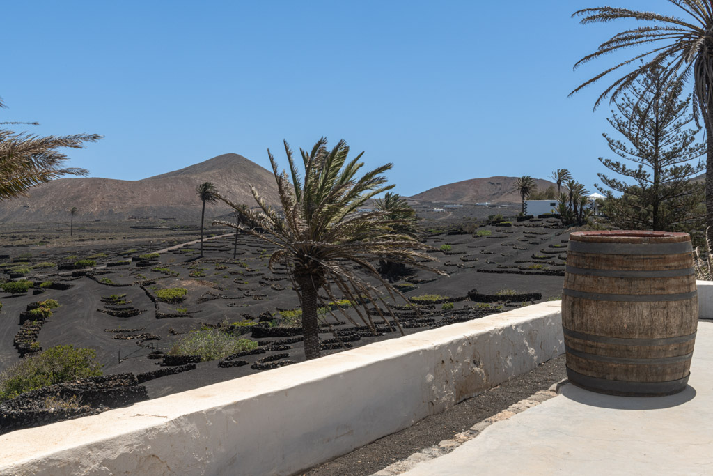 Bodegas de Lanzarote