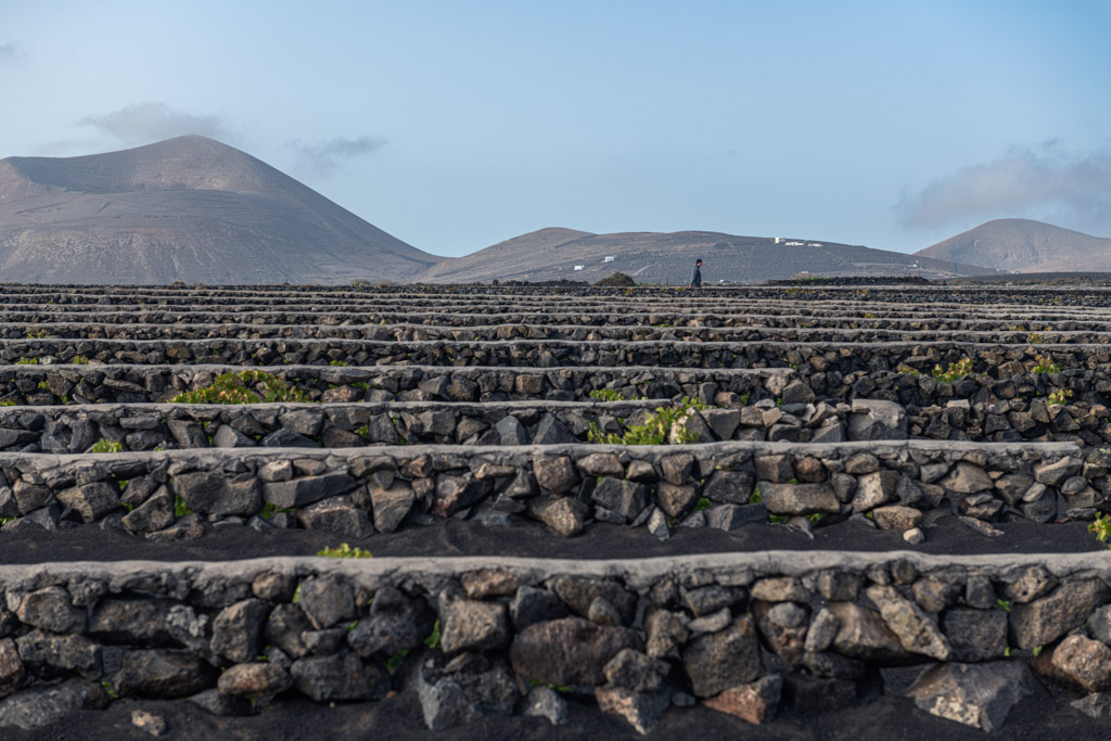 enoturismo en Lanzarote. Bodegas de Lanzarote