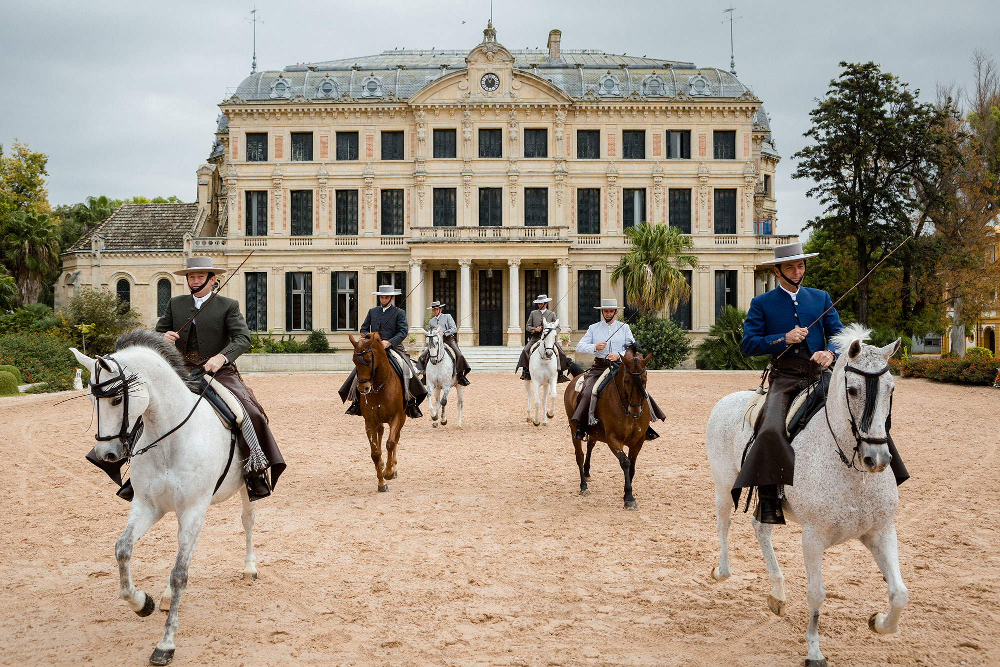 Cómo bailan los caballos andaluces