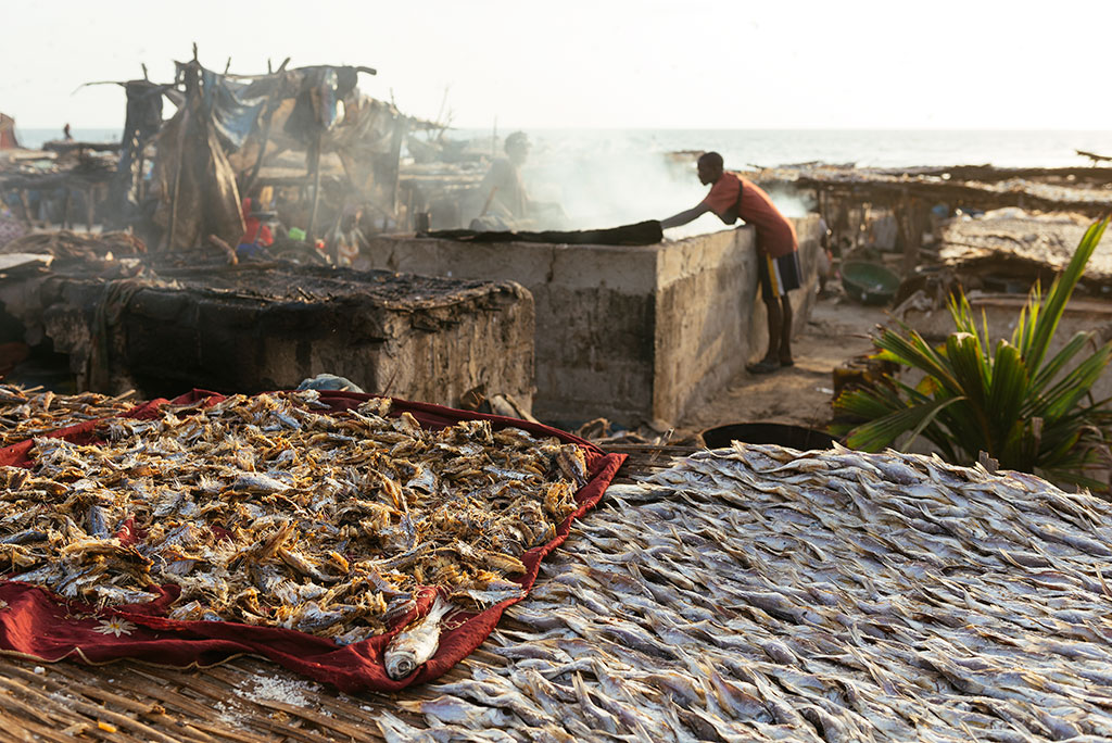 Asadero de pescado en playa de Tanji, Gambia