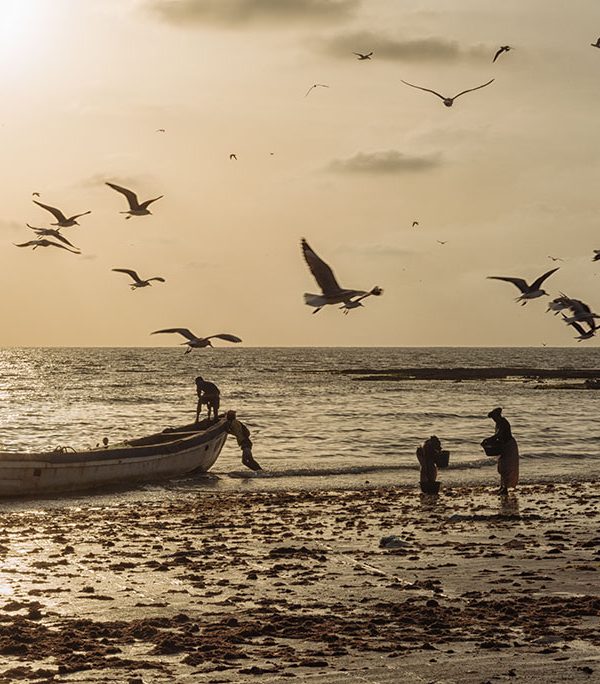 Atardecer en Tanji