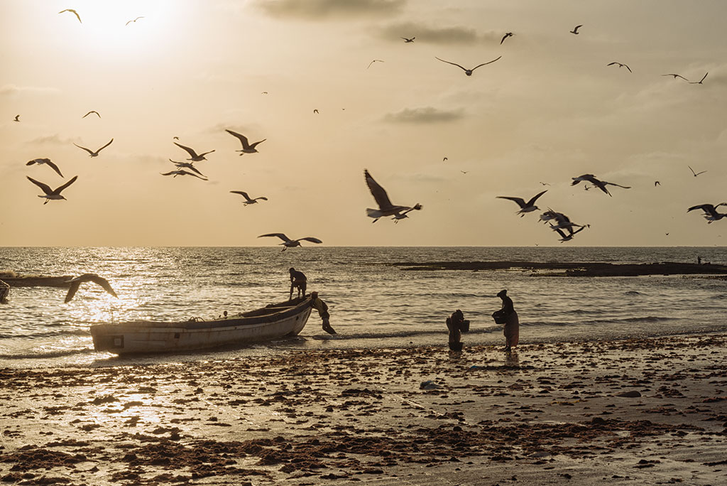 Contraluz de una barca y gaviotas al atardecer en la playa de Tanji en Gambia