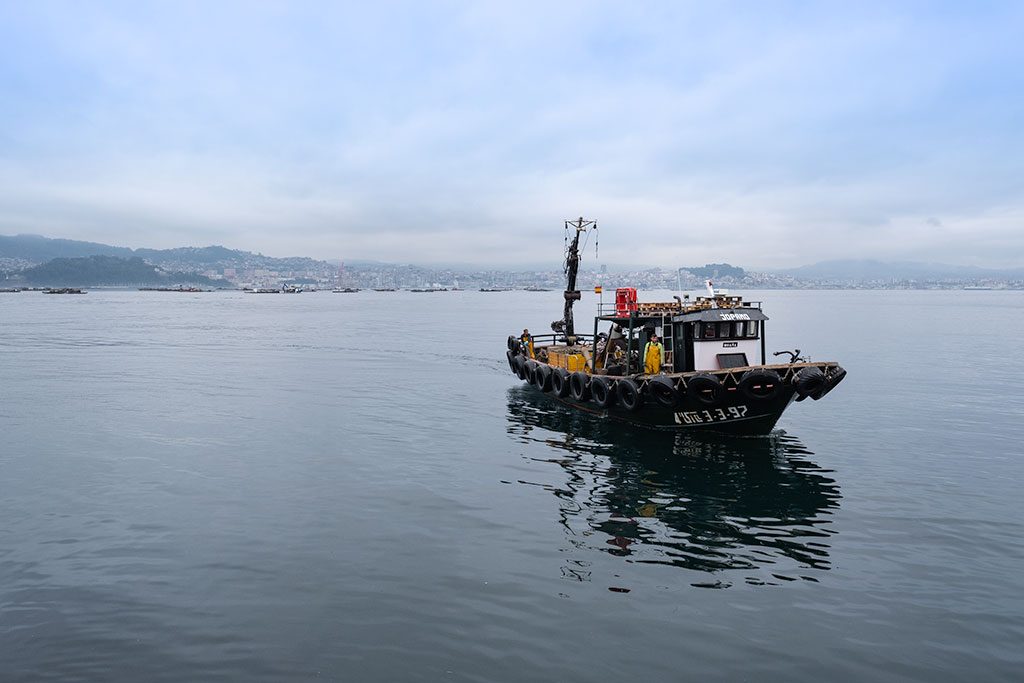 Barco pesquero se aproxima al puerto de Moaña en la Península de Morrazo.