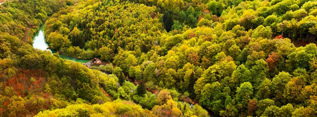 Un Bosque De Cuento La Selva De Irati Viajar Es Vivir