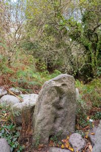 Detalle de petroglifo situado en el Camino dos Lameiros, a los pies del Monte do Facho, Pontevedra.