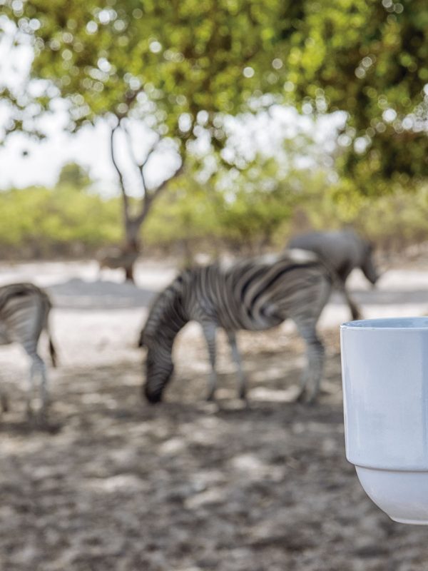 Un café mientras vemos cebras en Fathala Wildlife Reserve, Senegal