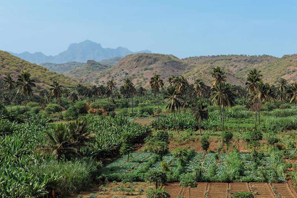 Viajar a Cabo Verde; valle tropical en Santiago