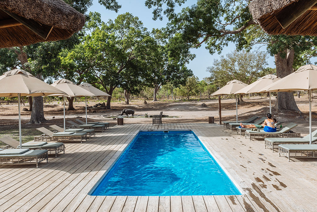 Piscina en Fathala Lodge con rinoceronte