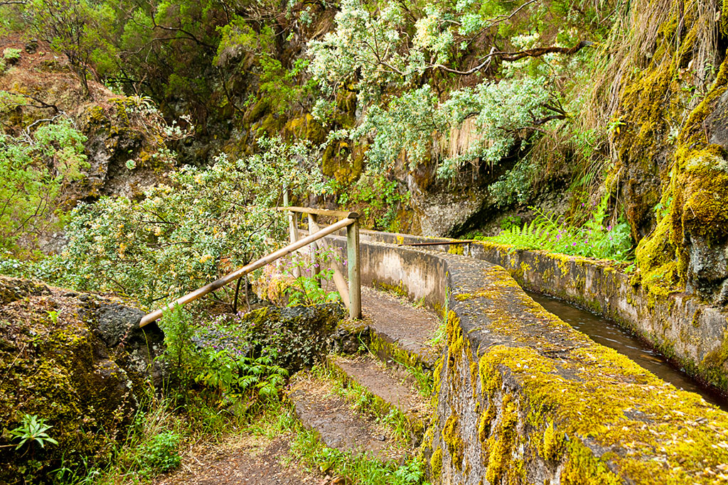 10 lugares que no puedes perderte en La Palma: Barranco Los Tilos