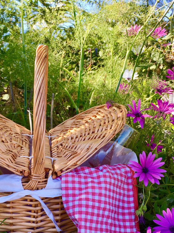 Picnic entre viñedos