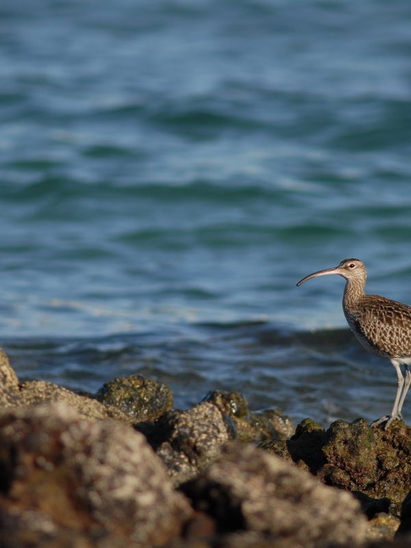 Reserva de la Biosfera de Fuerteventura