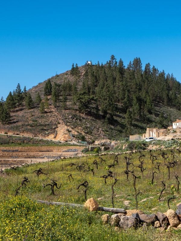 Caserío Las Fuentes Guía de Isora