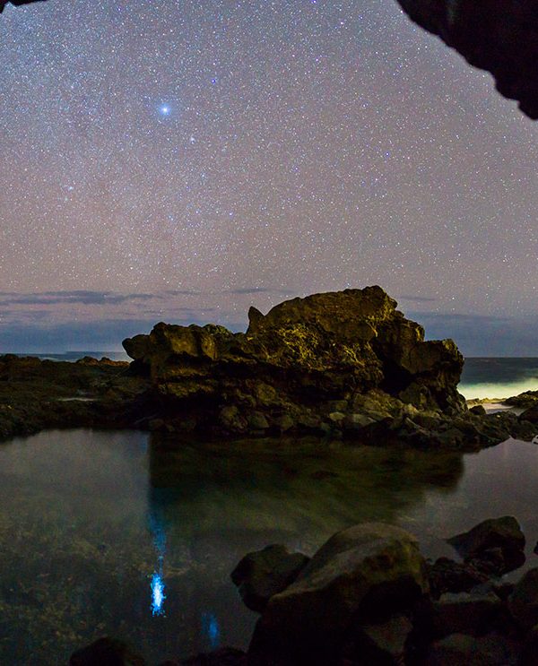 Chacho de noche en El Hierro