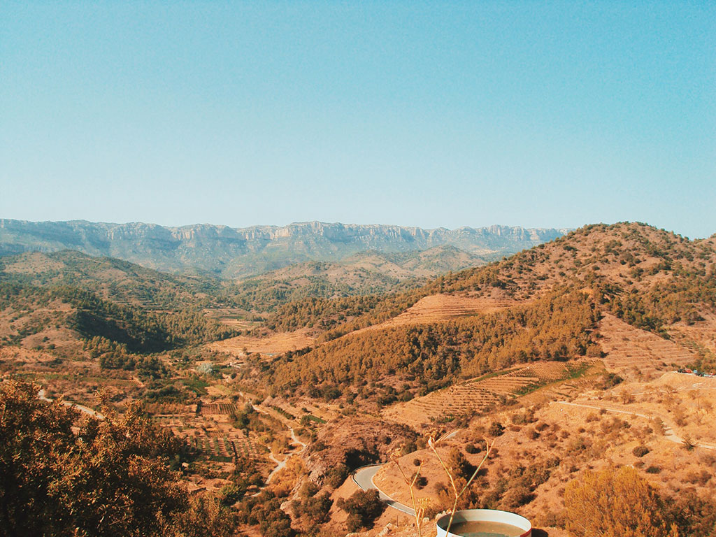 Gastronomía de Tarragona. Priorat