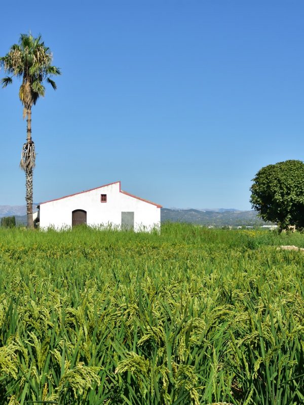 Gastronomia Tarragona delta del Ebro