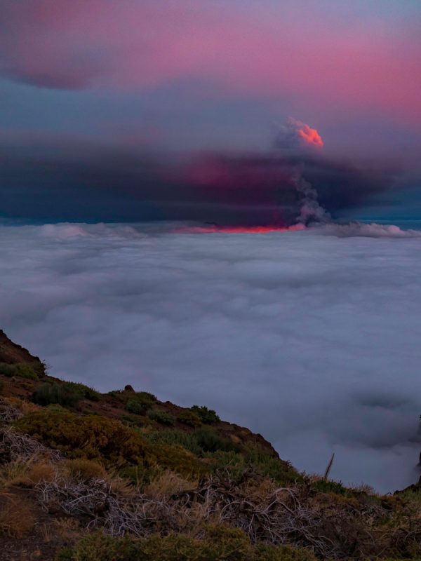 Visita volcán de la Palma