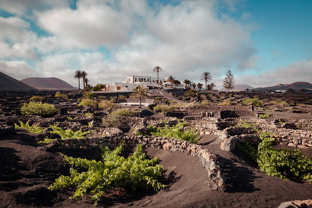 Bodegas de Lanzarote