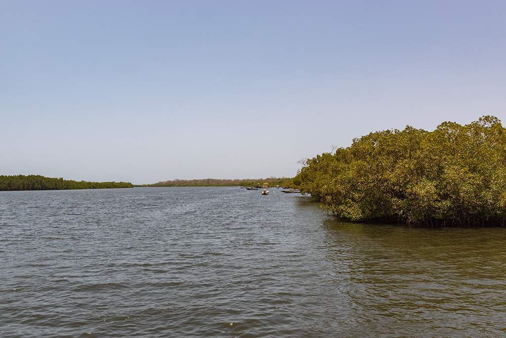 Ecoturismo en Senegal y Gambia