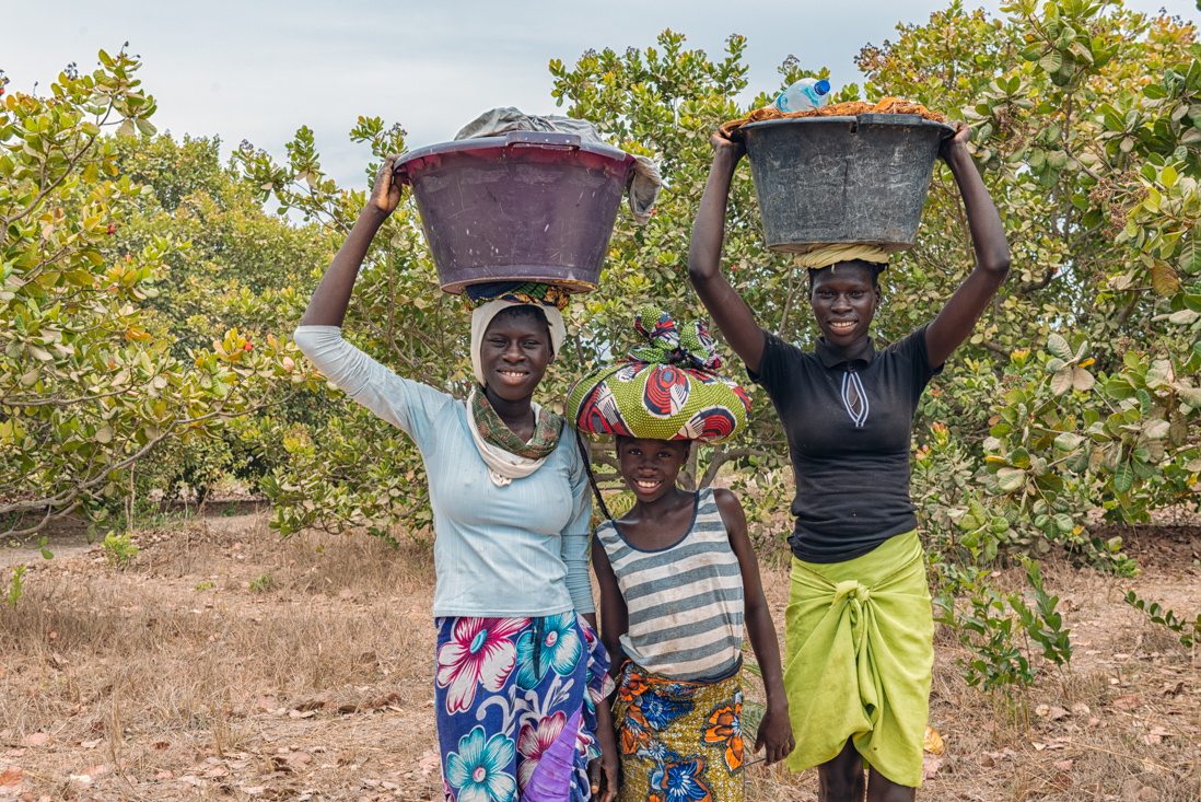 Ecoturismo en Senegal y Gambia