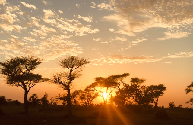 Ecoturismo en Senegal y Gambia