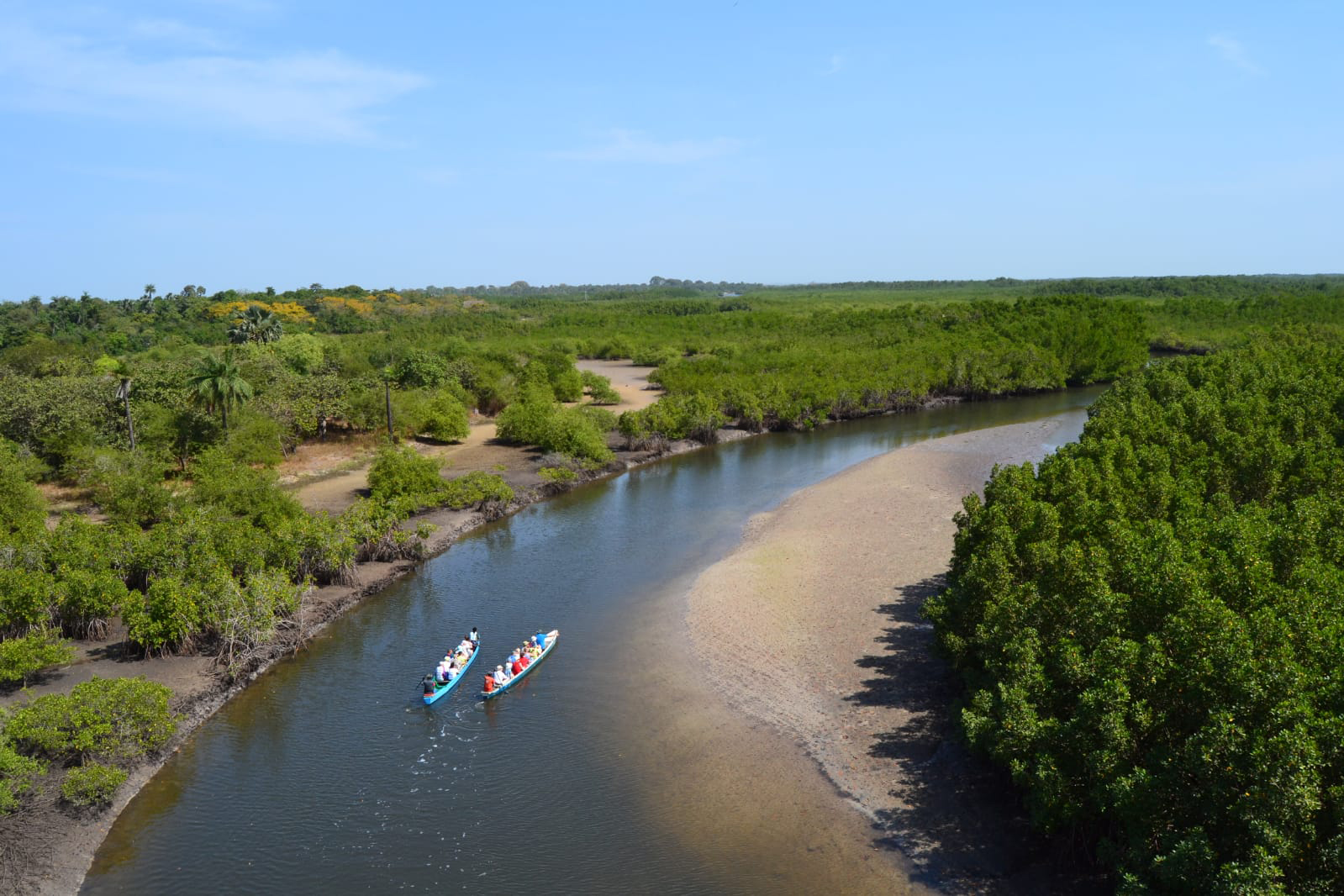 Río entre manglares en Casamance Senegal con canoas navegando en plena naturaleza